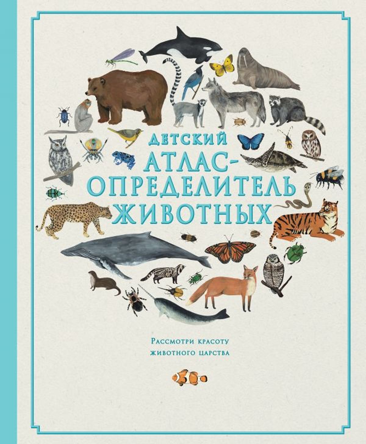 Определитель Животных По Фото
