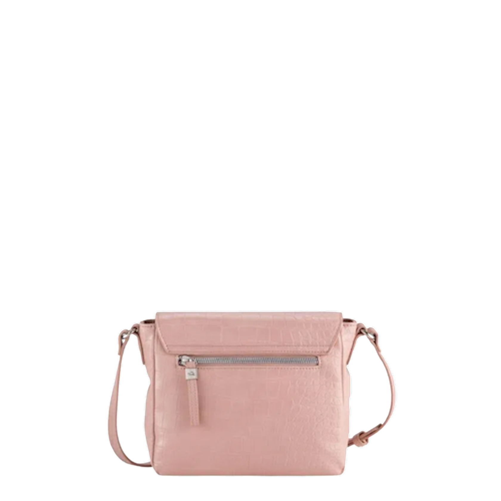 Женская сумка Carpisa BSA55106541 Powder купить в Баку. Цена, обзор