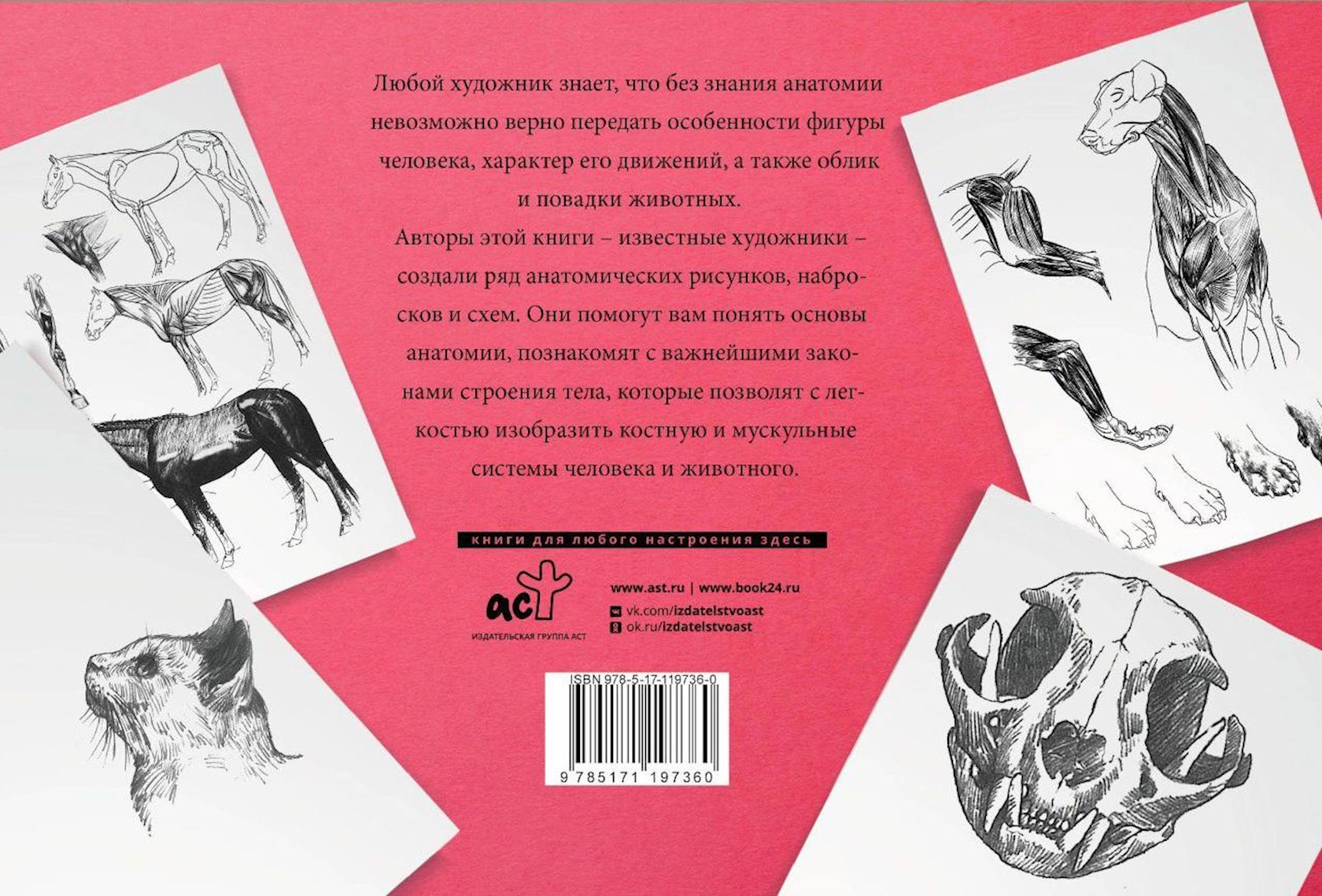 Книга Анатомия для художников. Альбом для скетчинга ОГИЗ - купить в ...