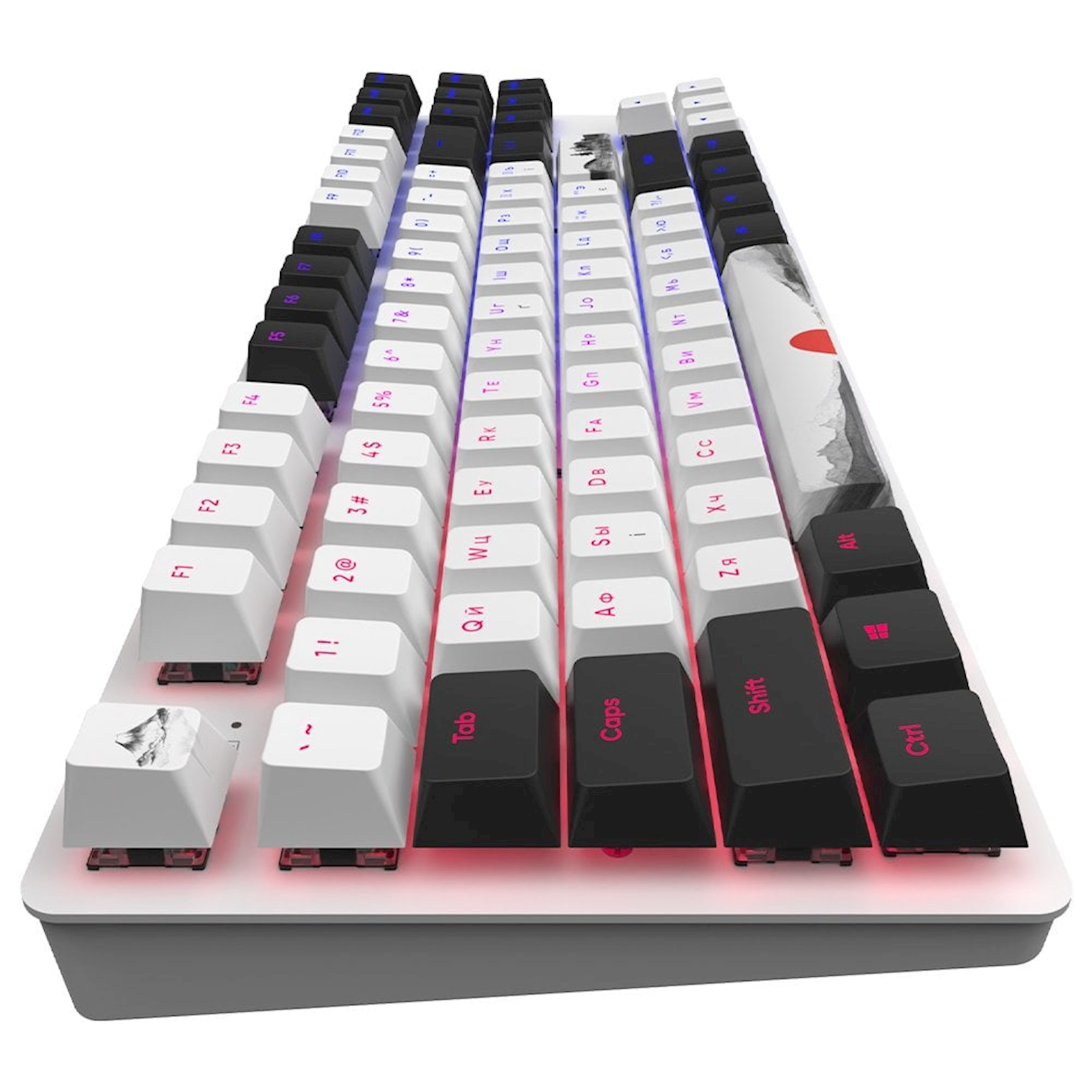 ᐈ Игровая клавиатура Dark Project One 87 Fuji ABS RGB Mech G3ms