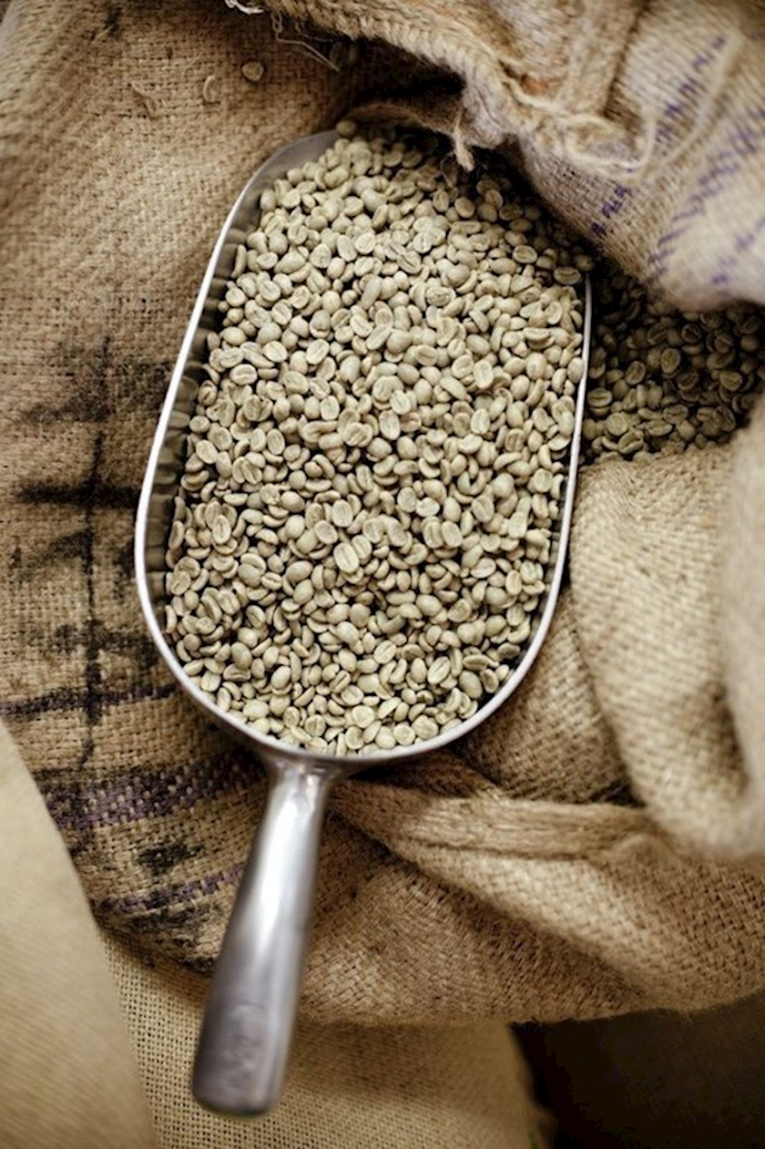 Yaşıl qəhvə dənələri CoffeeRaffa YQ_001_1, 1 kq