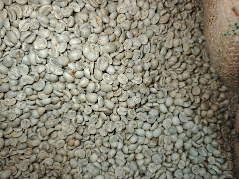 Yaşıl qəhvə dənələri CoffeeRaffa YQ_001_250, 250 q
