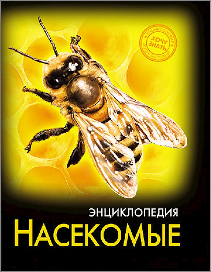 Купить Книгу Энциклопедия