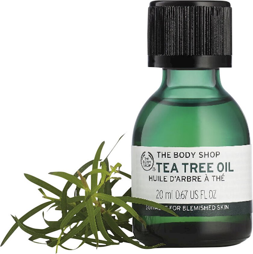 Чайное дерево цинк. Чайное дерево. Tea Tree Oil. Масло чайного дерева.