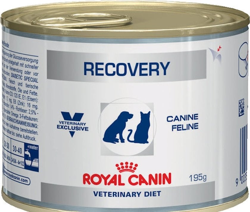 Консервы Royal Canin Recovery для кошек и собак, 195 г - купить в Баку ...
