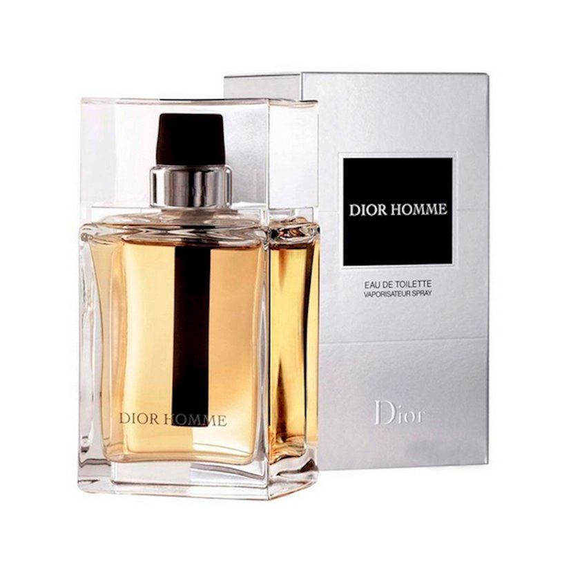 Dior Homme 100 100