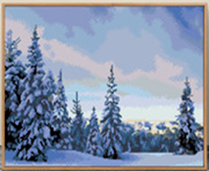 Алмазная мозаика "Зимний пейзаж", 40x50 см, для взрослых, на рамке ...
